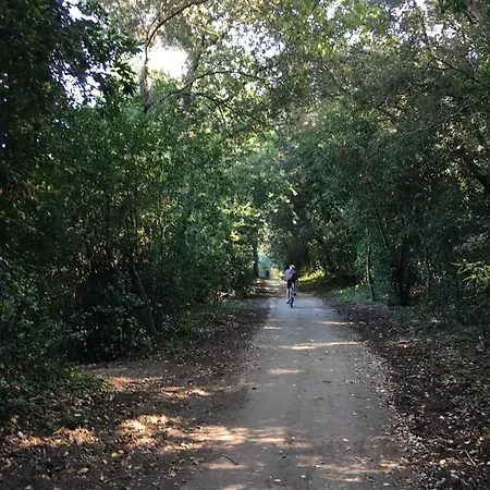 Maison D'eau Dom wakacyjny Grand-Village-Plage