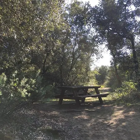 Maison D'eau Grand-Village-Plage